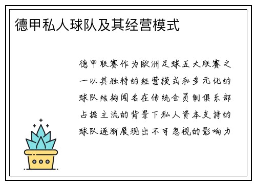 德甲私人球队及其经营模式